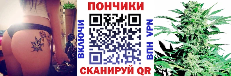 где можно купить   Новочеркасск  MEGA маркетплейс  Бошки марихуана VHQ 